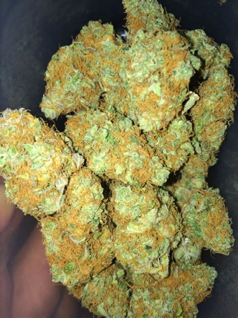 gucci weed|gucci og kush strain.